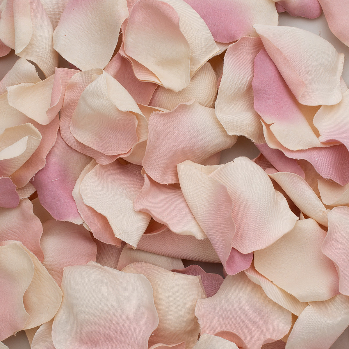 Assort Rose Petals