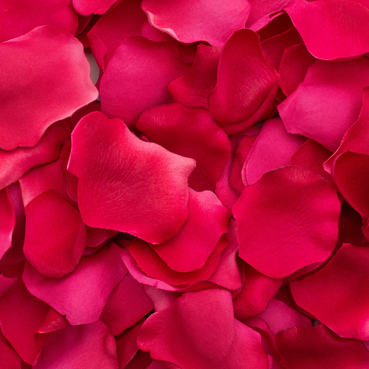 Assort Rose Petals